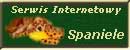 ....::::SPANIELE - Serwis Internetowy::::....